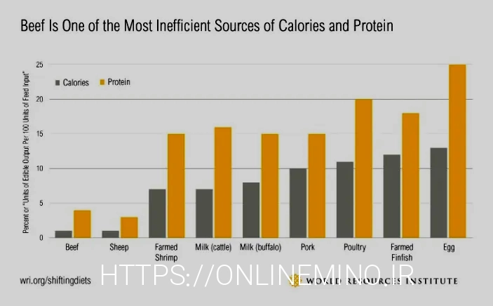 What do animals eatanimal diets