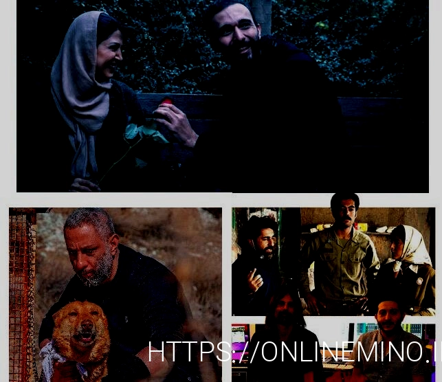 اخبار جدید